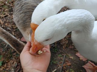 시금치15102님의 작성글 사진