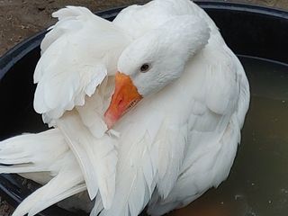 시금치15102님의 작성글 사진