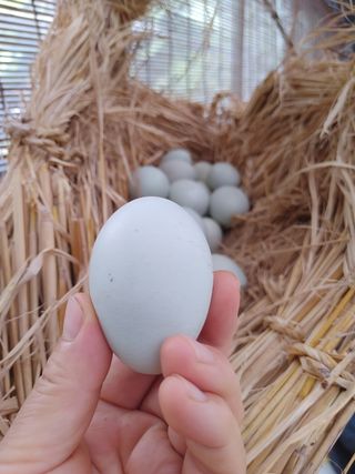 시금치15102님의 작성글 사진