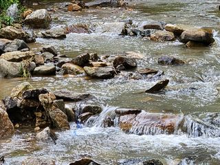 시금치15102님의 작성글 사진