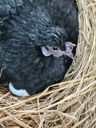 시금치15102님의 작성글 사진