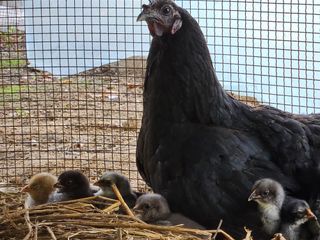 시금치15102님의 작성글 사진