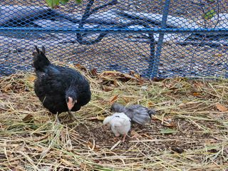시금치15102님의 작성글 사진