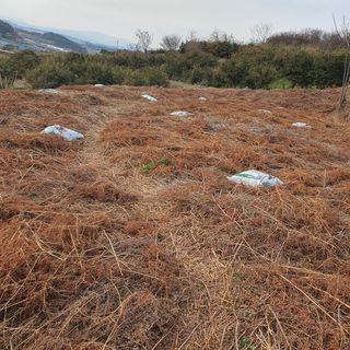 이경숙님의 기타작물 · 자유게시판 작성글 사진