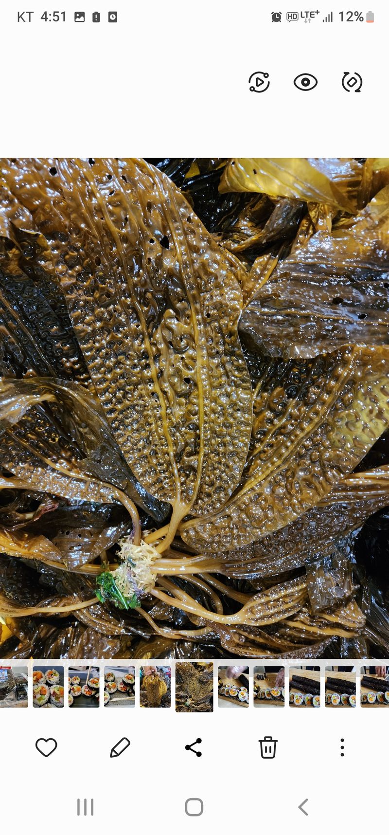 장터 상품 [곰피 (쇠미역) 2키로 ] 썸네일