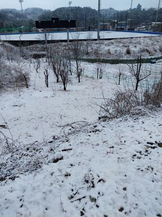 해안로님의 기타작물 · 자유게시판 작성글 사진