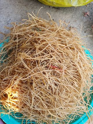 예천토종꿀벌 님의 작성글 사진