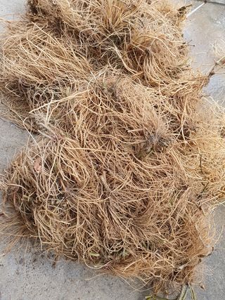 예천토종꿀벌 님의 작성글 사진