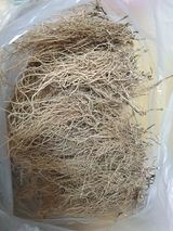 팜모닝 · 게시글 이미지