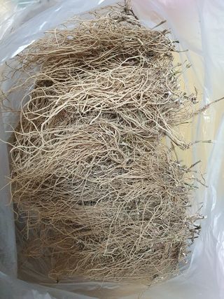 예천토종꿀벌 님의 작성글 사진