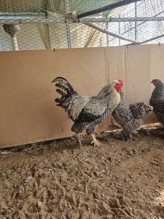 제이팜님의 작성글 사진