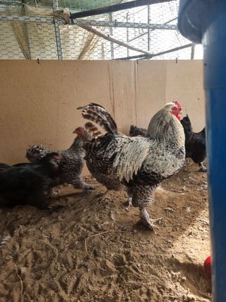 제이팜님의 작성글 사진