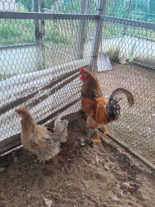 제이팜님의 작성글 사진