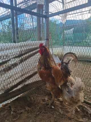 제이팜님의 작성글 사진