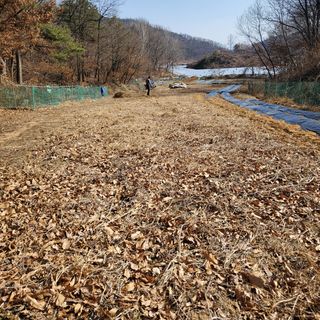 봉덕팜님의 감자 · 자유게시판 작성글 사진