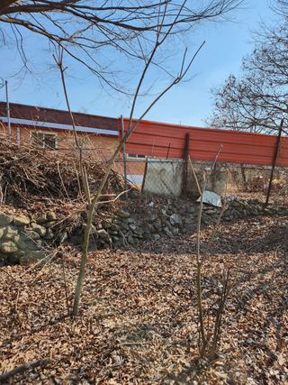 김상임님의 작성글 사진