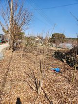 팜모닝 · 게시글 이미지