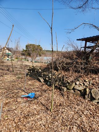 김상임님의 작성글 사진