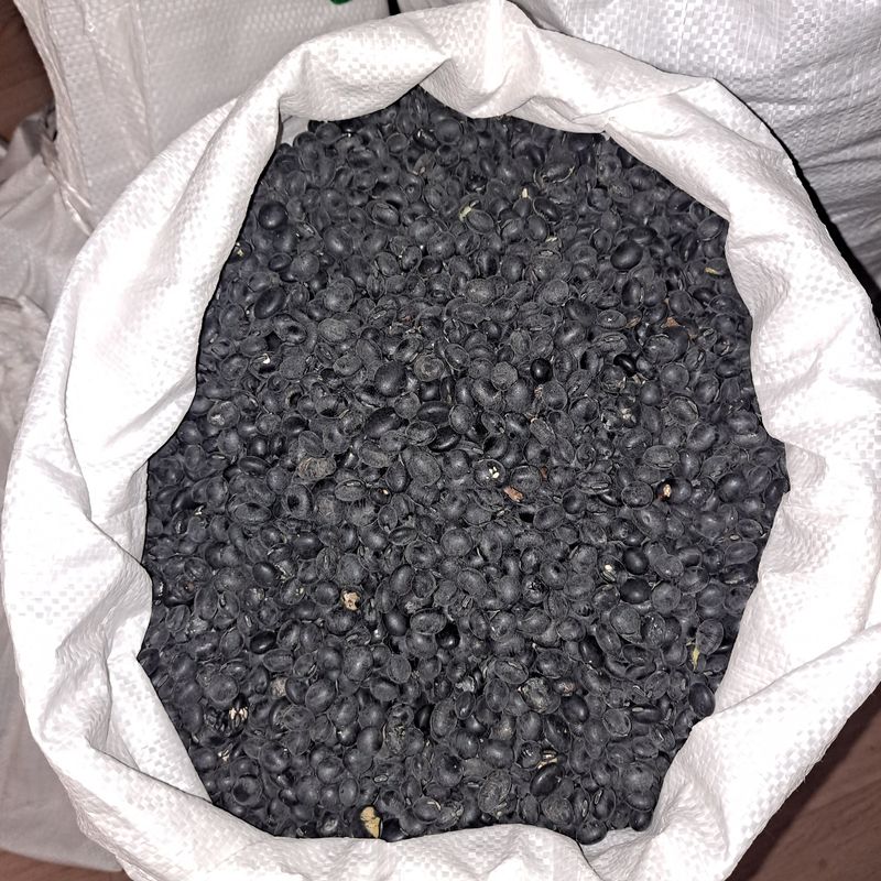 장터 상품 [서리태 ㆍ적팥 ㆍ청자5호 충남홍성 ] 썸네일