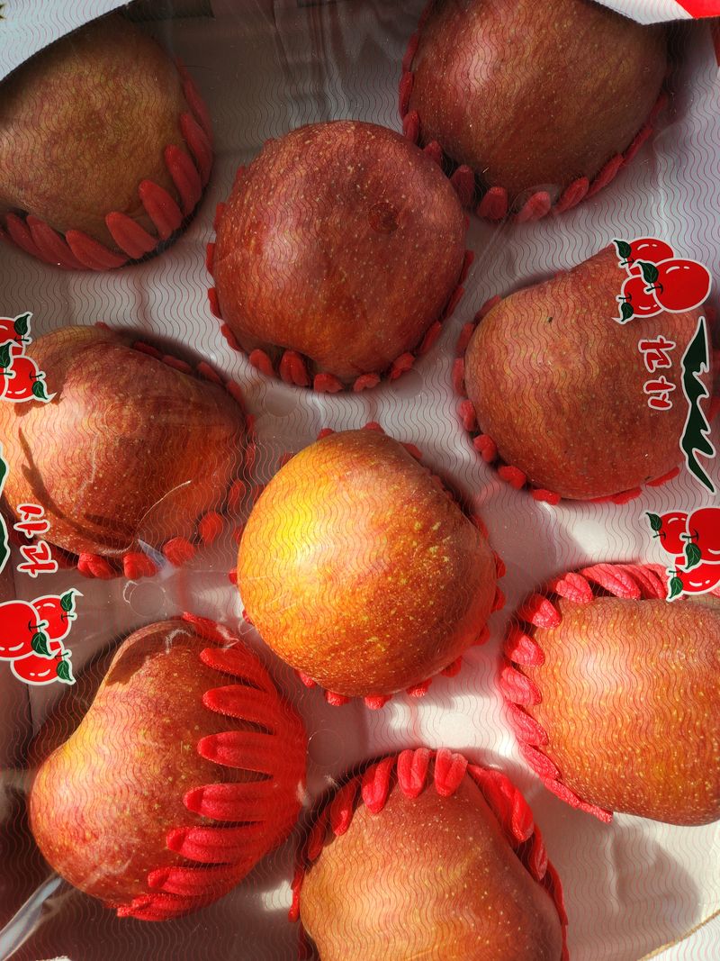 장터 상품 [로콜푸드 유기농 사과 5kg] 썸네일