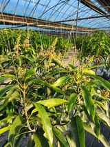 팜모닝 · 게시글 이미지