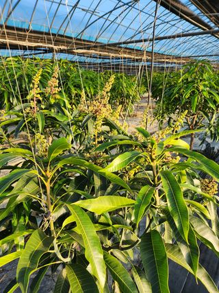 김석희님의 작성글 사진