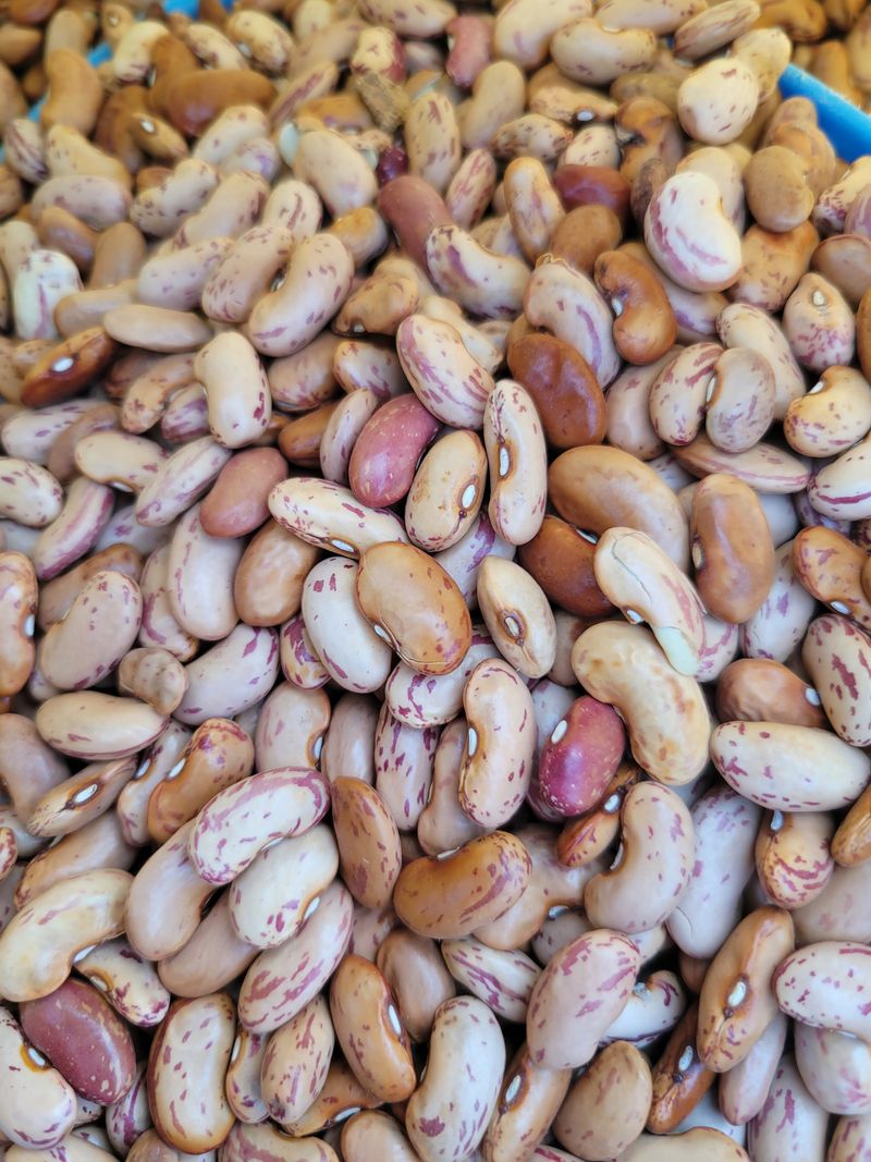 장터 상품 [양대] 썸네일