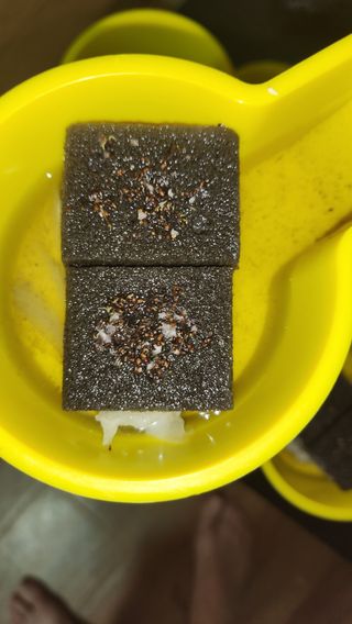 천종현님의 기타작물 · 자유게시판 작성글 사진