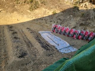 짱순이연속8월출석왕님의 시금치 · 토양준비 작성글 사진