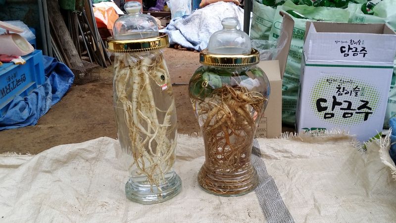 장터 상품 [황기씨앗 1홉 2만5천원] 썸네일