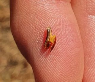 한농농약종묘사님의 기타작물 · 병해충상담 작성글 사진