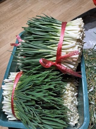 이영숙님의 작성글 사진