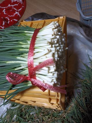 이영숙님의 작성글 사진