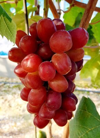 도기백님의 작성글 사진