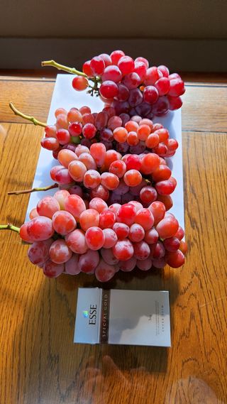 도기백님의 작성글 사진