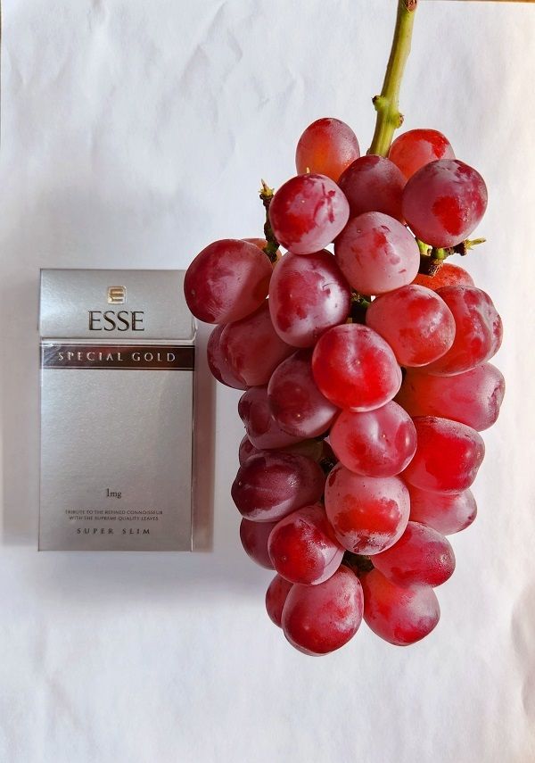 도기백님의 장터 판매 상품 [랑만홍옌 포도묘목 10주] 첨부 사진