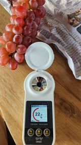 팜모닝 · 게시글 이미지