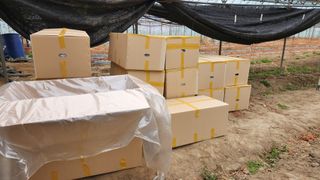 도기백님의 작성글 사진