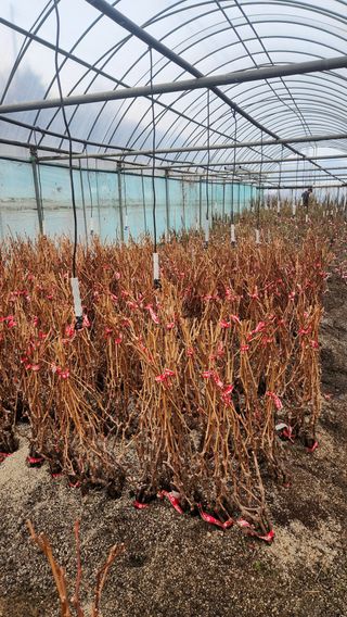 도기백님의 작성글 사진