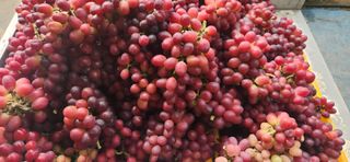 도기백님의 작성글 사진