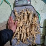 팜모닝 기타작물·자유게시판 게시글 이미지