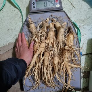 모두팜님의 기타작물 · 자유게시판 작성글 사진