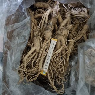 모두팜님의 기타작물 · 자유게시판 작성글 사진