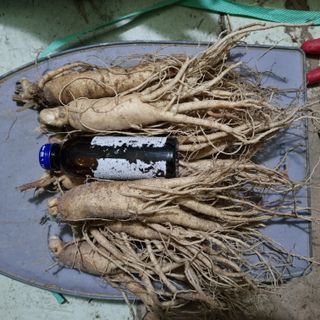 모두팜님의 기타작물 · 자유게시판 작성글 사진