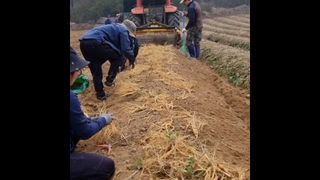 모두팜님의 기타작물 · 자유게시판 작성글 사진