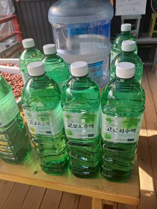 강뚝님의 작성글 사진