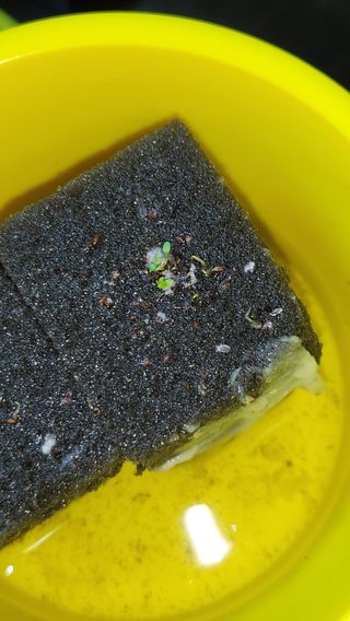 천종현님의 기타작물 · 자유게시판 작성글 사진