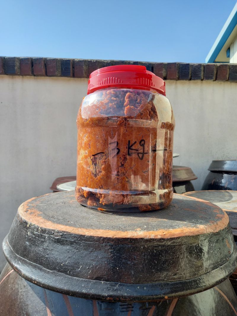 장터 상품 [강원도시골막장팔아요 ㅡ] 썸네일