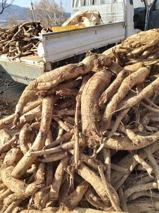 이현상님의 기타작물 · 자유게시판 작성글 사진