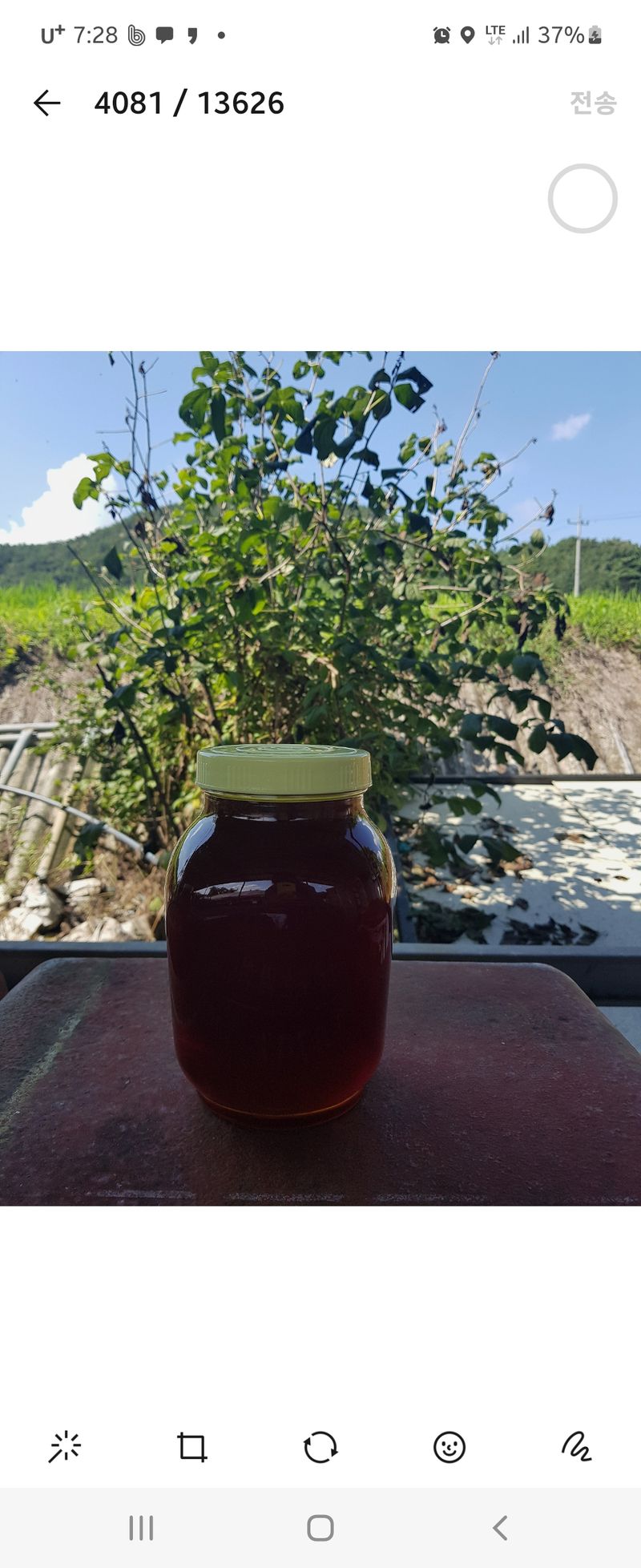 벌꿀농장♡권은주님의 장터 판매 상품 [🟣🟥단하루 특가 할인중🟥🟣] 첨부 사진